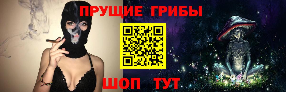 Галлюциногенные грибы прущие грибы Сафоново