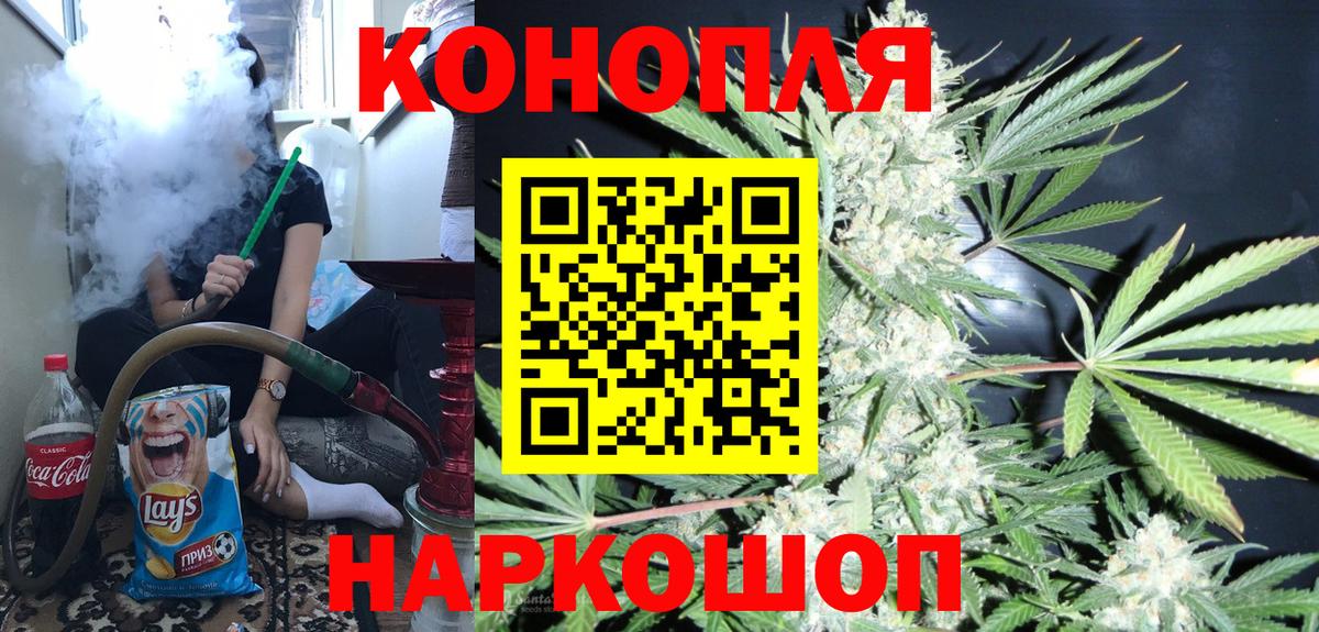 Бошки Шишки план Сафоново